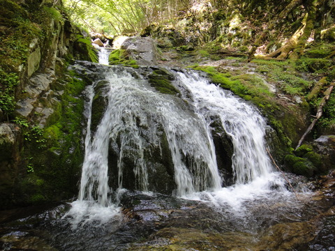 DSC06518