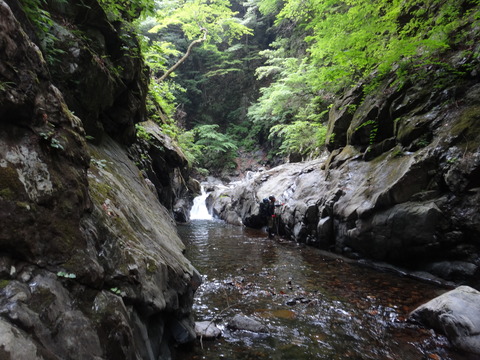 DSC00614