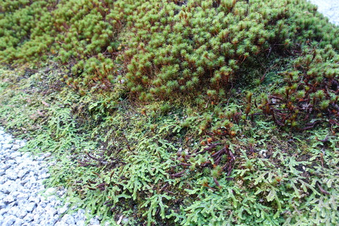 DSC03301