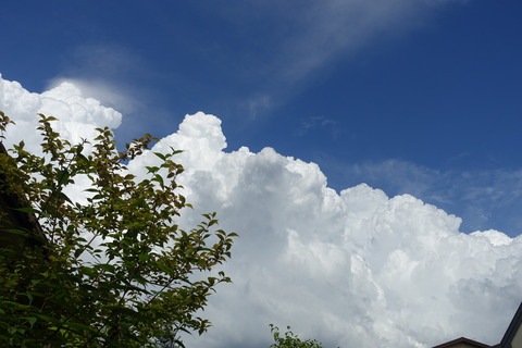 DSC02672