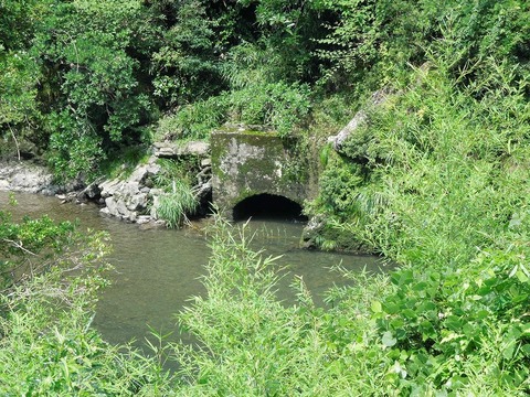 00-DSCN0732