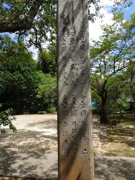 00-DSCN0505