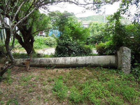 00-DSCN0501