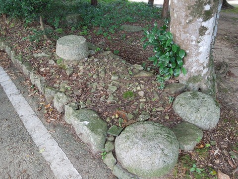 00-DSCN0517