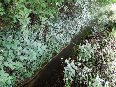 00-DSCN0764