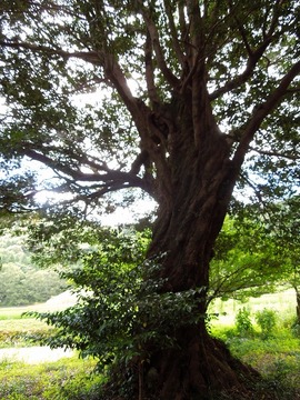 00-DSCN0562