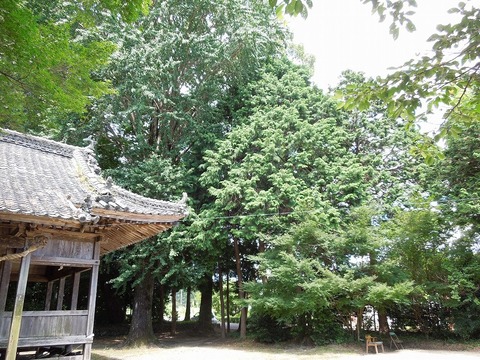 00-DSCN0537