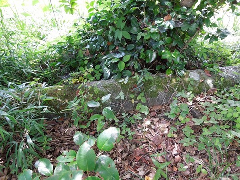00-DSCN0550