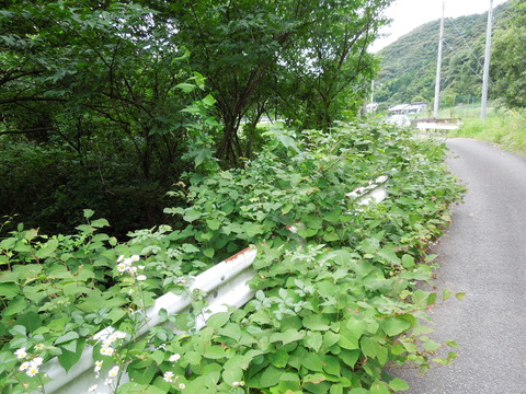 DSCN1027