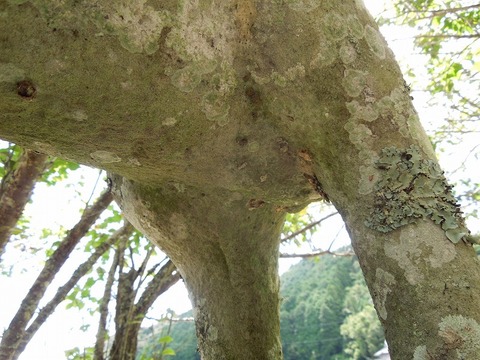 00-DSCN0493
