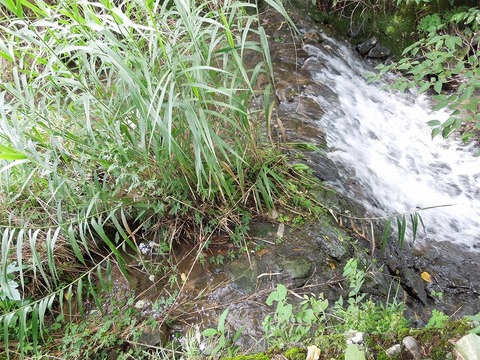 00-DSCN0742