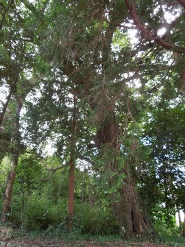 00-DSCN0572