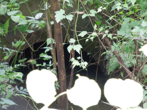 DSCN1030