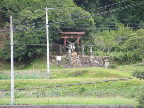 DSCN1006