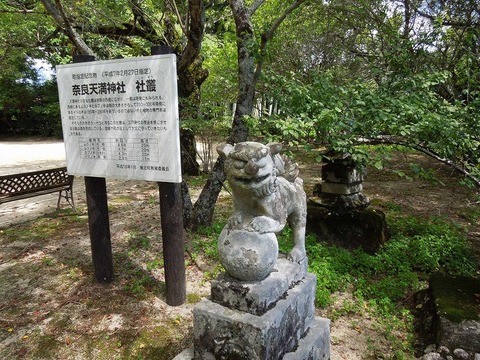 00-DSCN0494