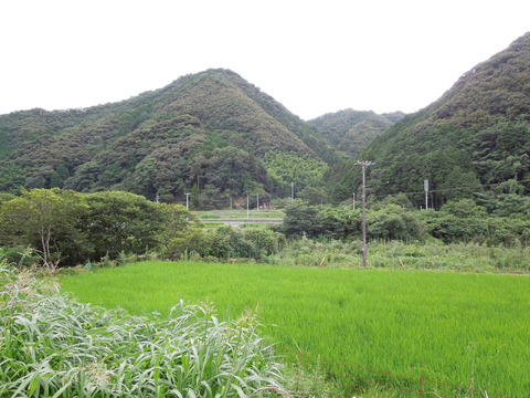 DSCN1005