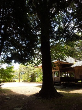 00-DSCN0520