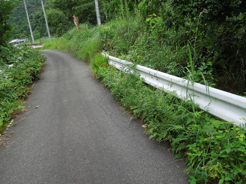 DSCN1031