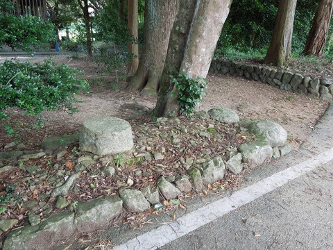 00-DSCN0515