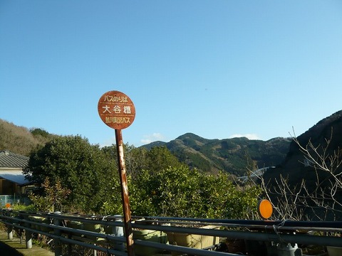 a-P1080932