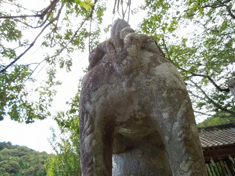 00-DSCN0496