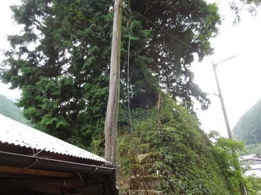 00-DSCN9161