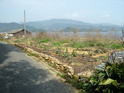 m-P1280303