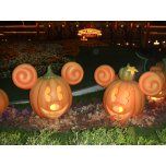 DSCF0602_ed