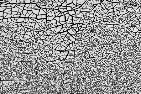 CRW_5937