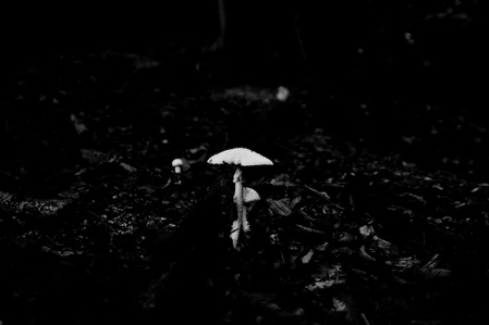 IMG_0736