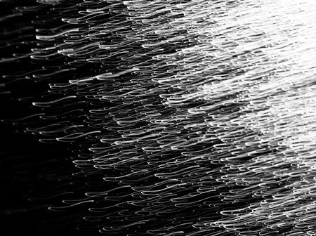 5c37b054.jpg