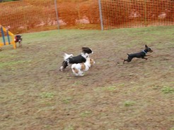 DSC04251_101031