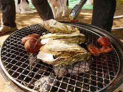 P1020913_101016