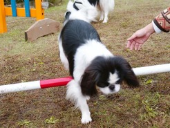 DSC04276_101031