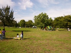 P1020906_101016