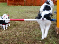 DSC04274_101031