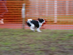 DSC04277_101031