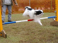DSC04287_101031