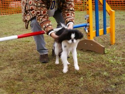 DSC04288_101031