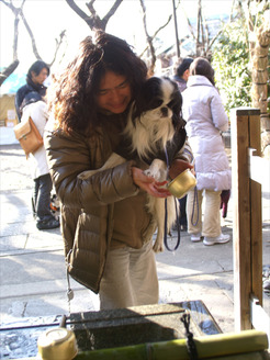 DSC08438_120114t
