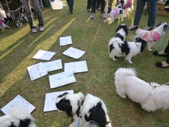 P1050168_101107