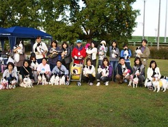 DSC04371_101107