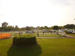 P1020939_101016
