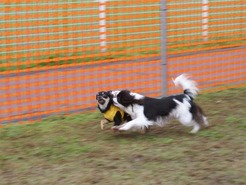 DSC04202_101031