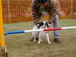 DSC04289_101031