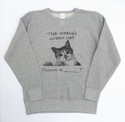 cutest chimi_sweat