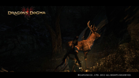 Dragon's Dogma Screen Shot _11