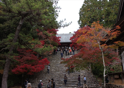 神護寺境内の階段