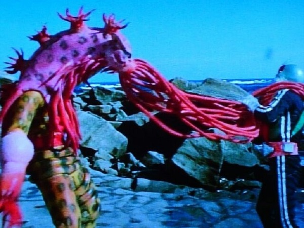 イソギンジャガー④