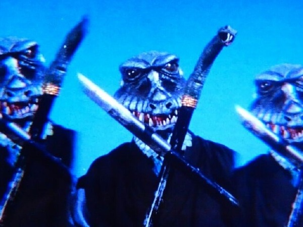 オニビマムシ②